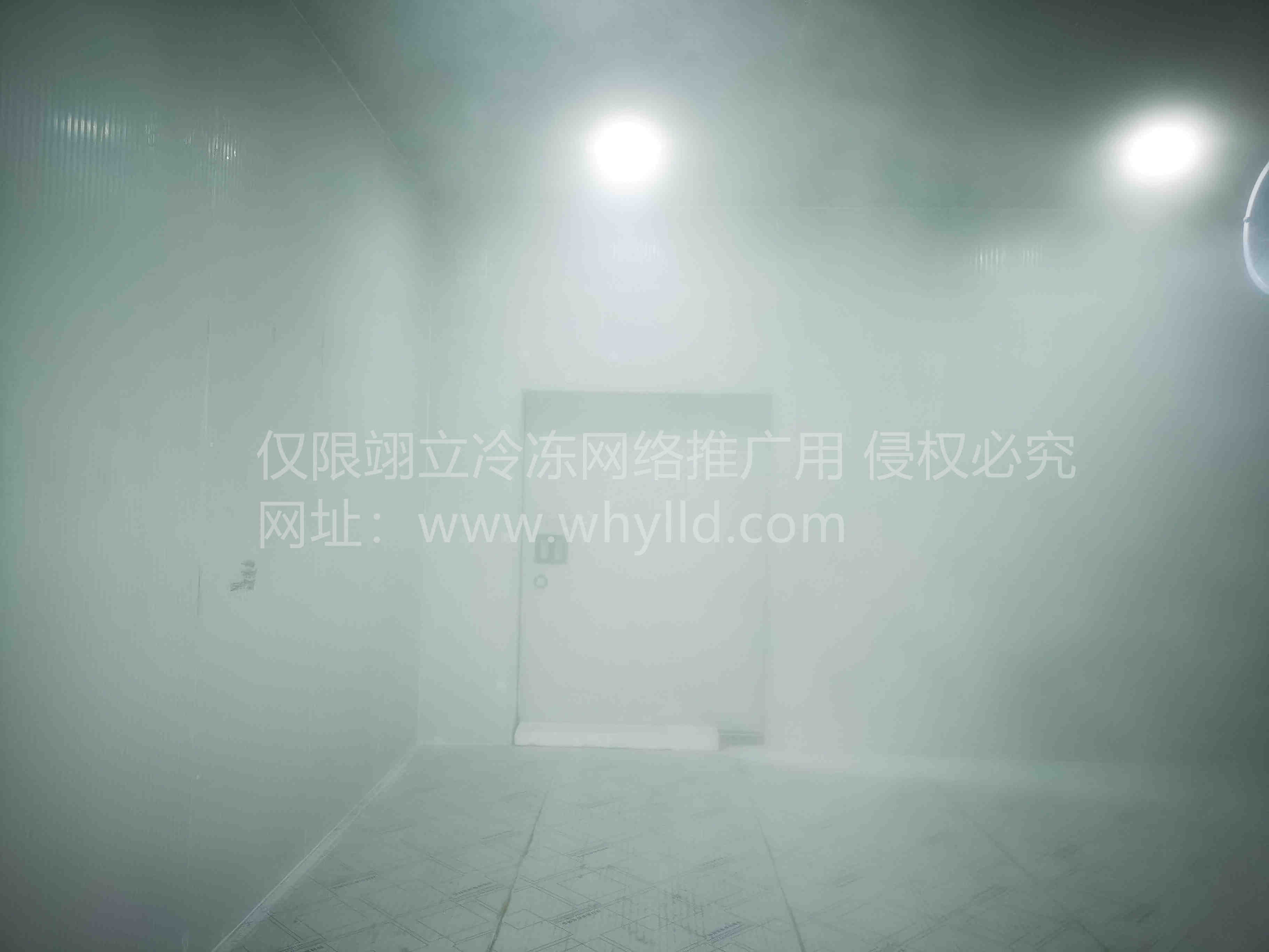 1707085074426.jpg