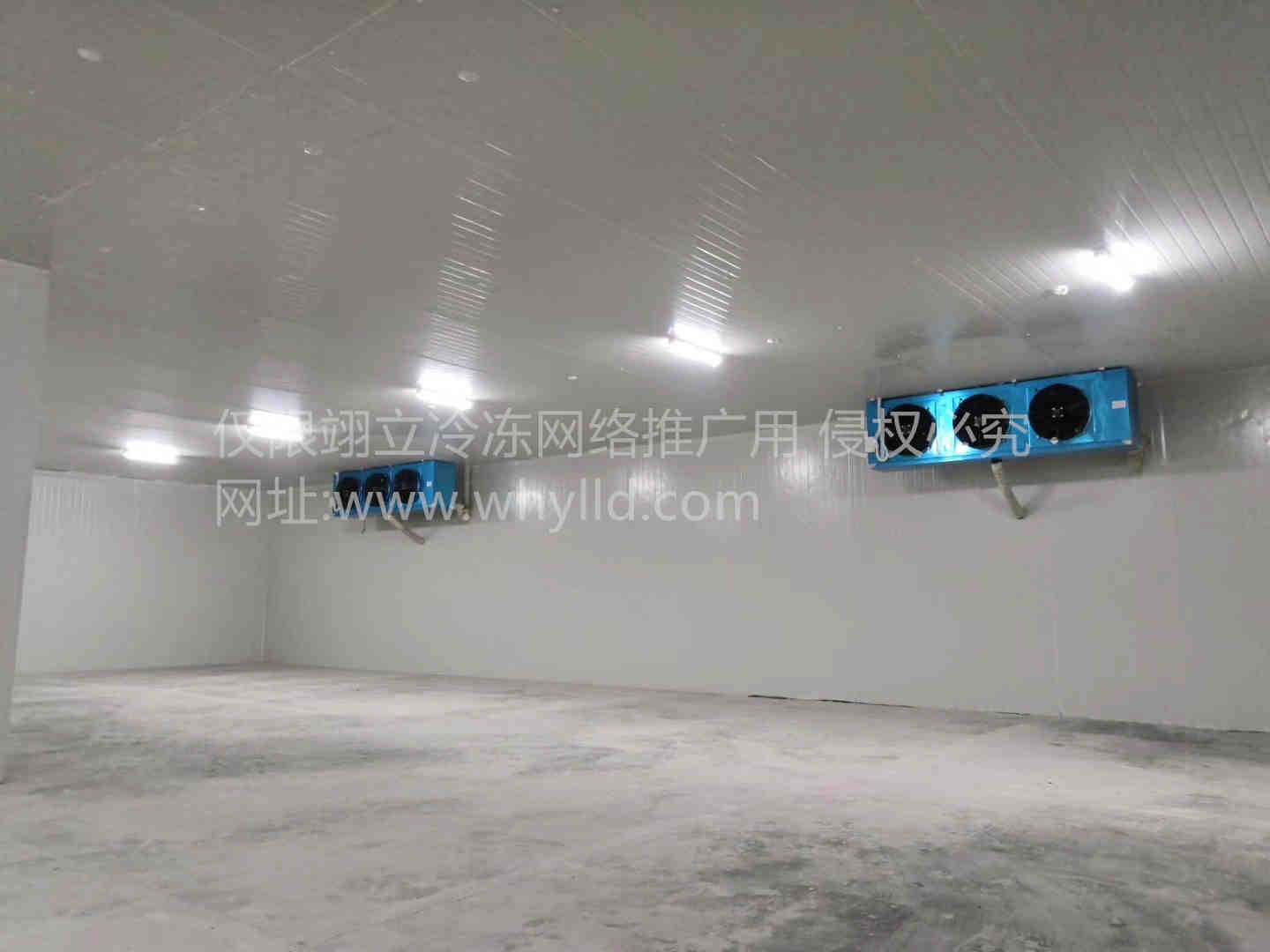 1707088461339.jpg