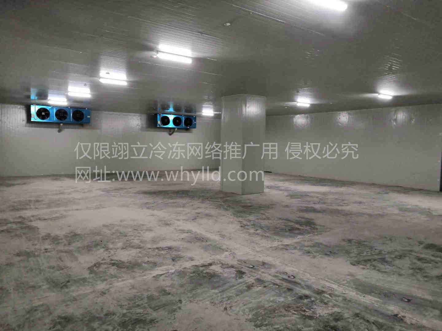 1707088461350.jpg